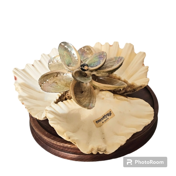 Vintage Real Shell Trincket holder Soap Dish Tropical Beach Decor MOP Bear Claw - Picture 5 of 7